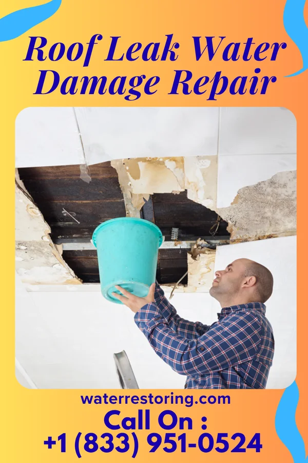 Roof Leak Water Damage Repair in Elizabeth, LA