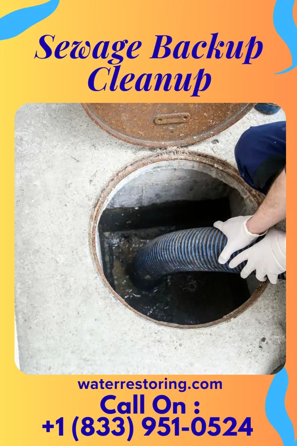 Sewage Backup Cleanup in Elizabeth, LA